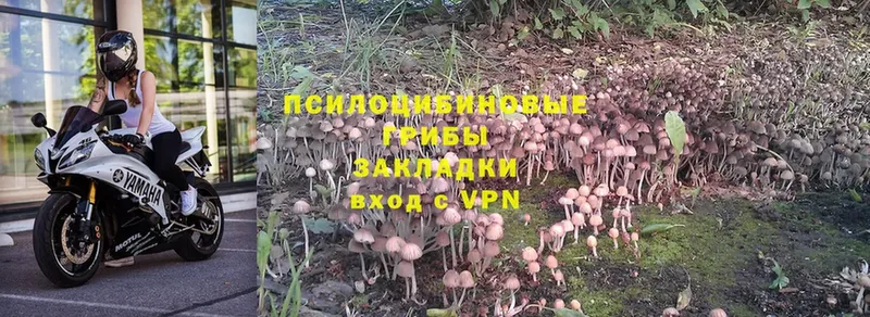 Галлюциногенные грибы MAGIC MUSHROOMS  Анапа 